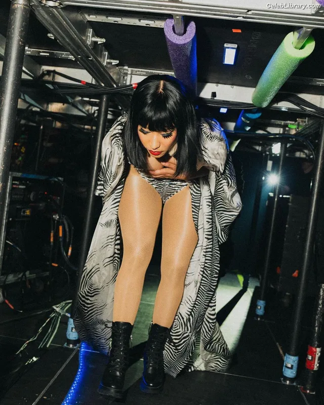 Nicki Minaj photo 23 of 983