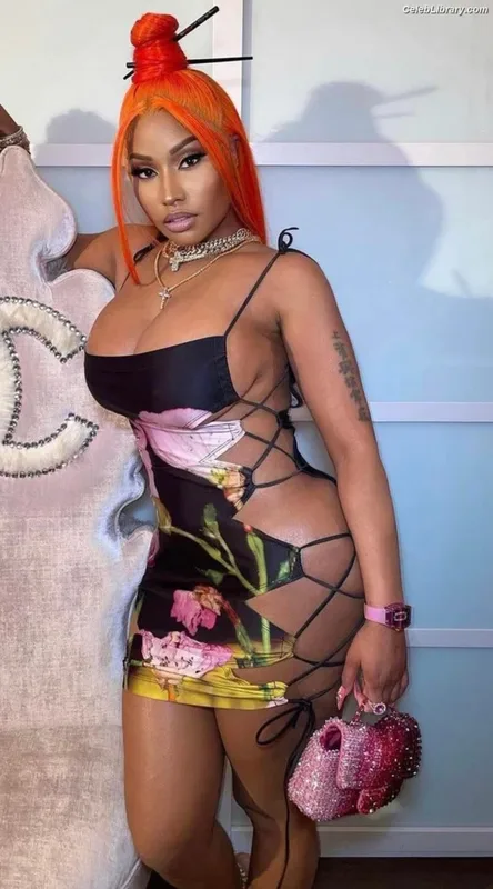 Nicki Minaj photo 5 of 983