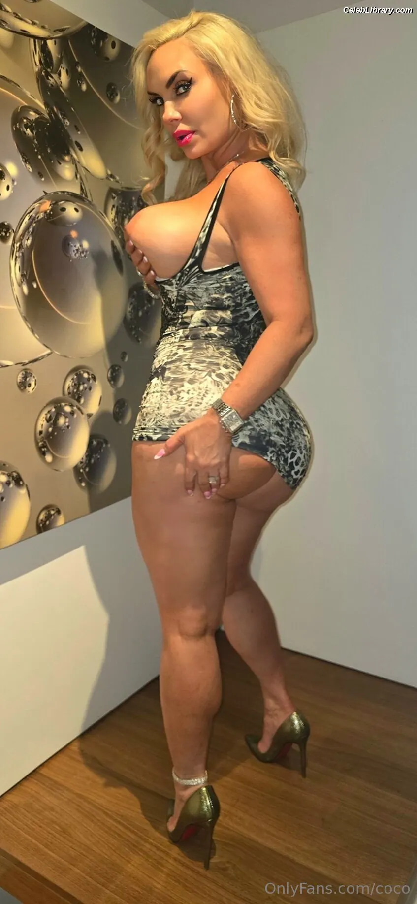 Nicole Coco Austin photo 2 of 1510