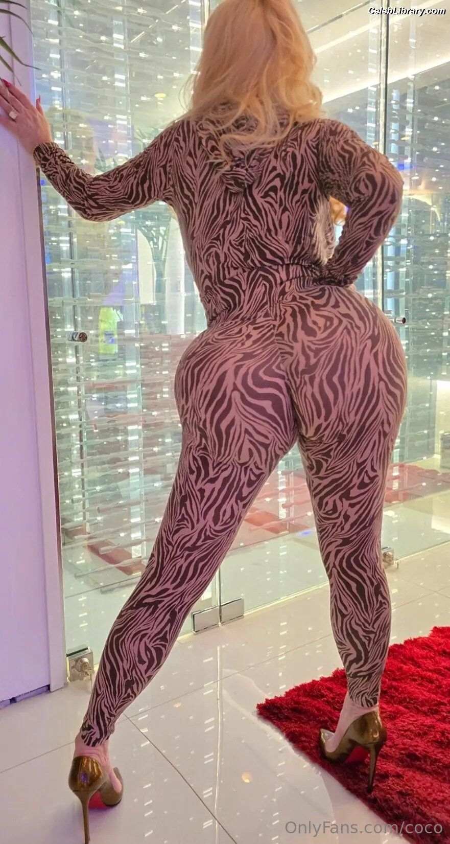 Nicole Coco Austin photo 13 of 1510