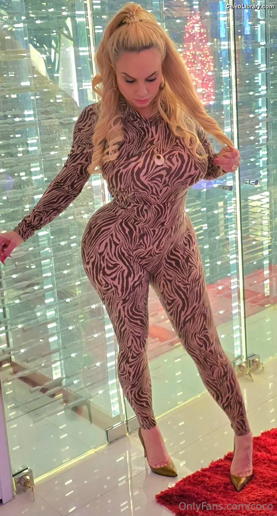 Nicole Coco Austin photo 17 of 1510