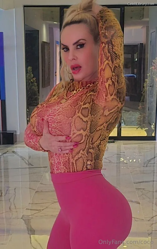 Nicole Coco Austin photo 23 of 1507