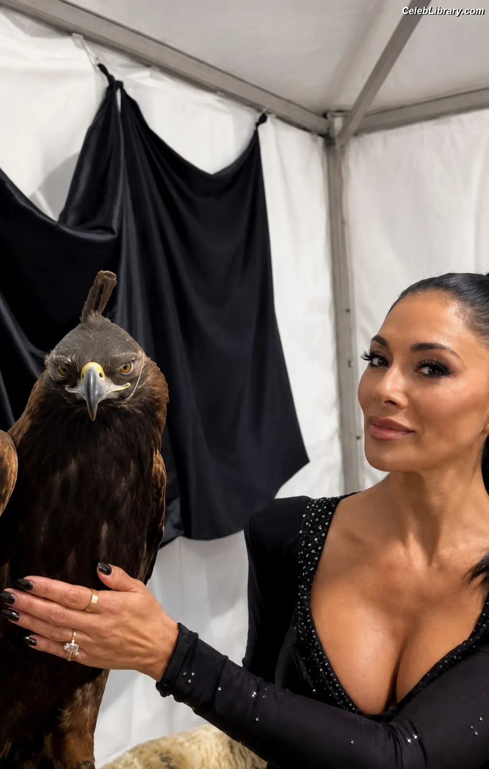 Nicole Scherzinger photo 11 of 1188