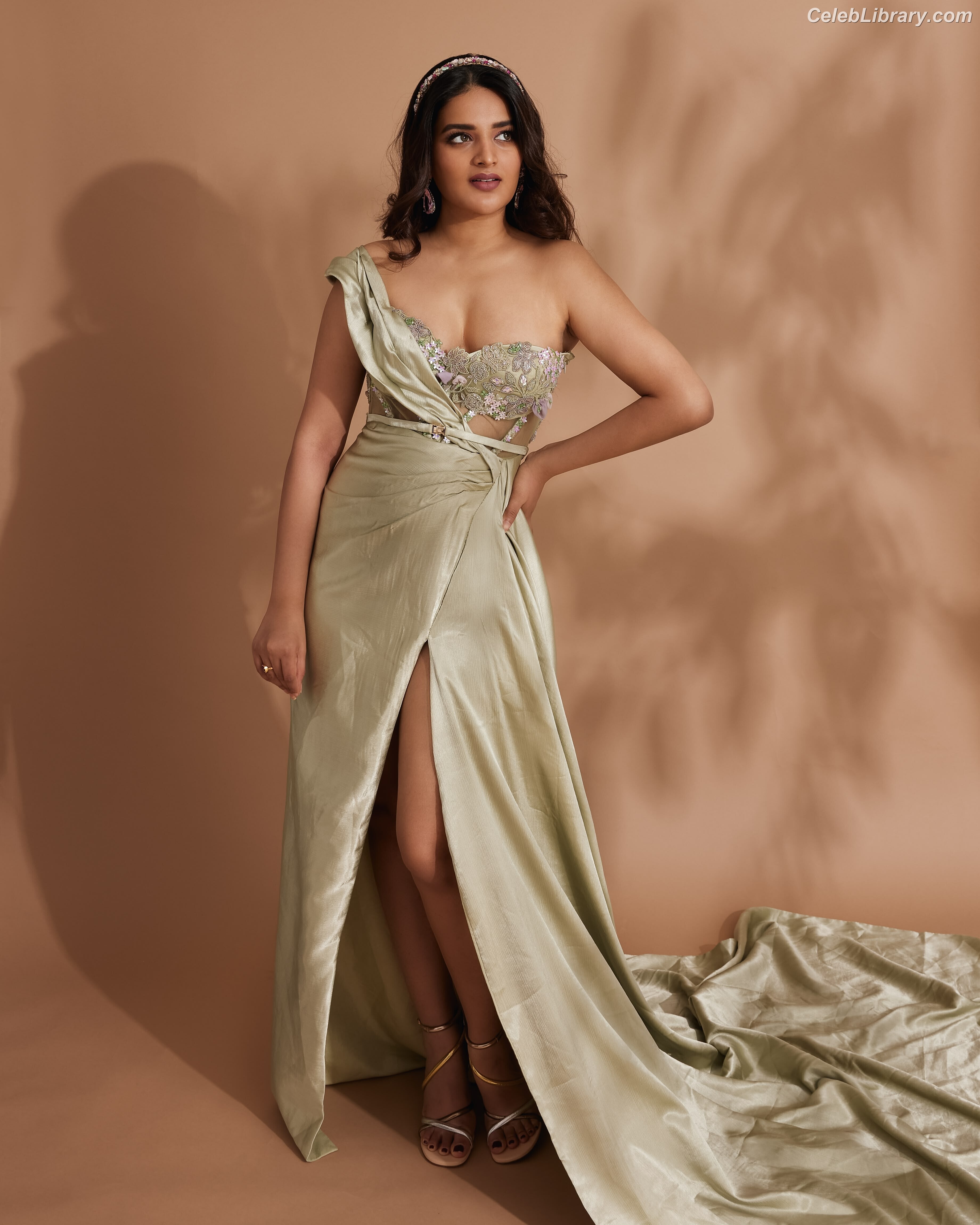 Nidhhi Agerwal photo 16 of 100