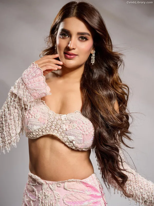 Nidhhi Agerwal photo 14 of 100