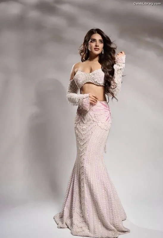 Nidhhi Agerwal photo 15 of 100
