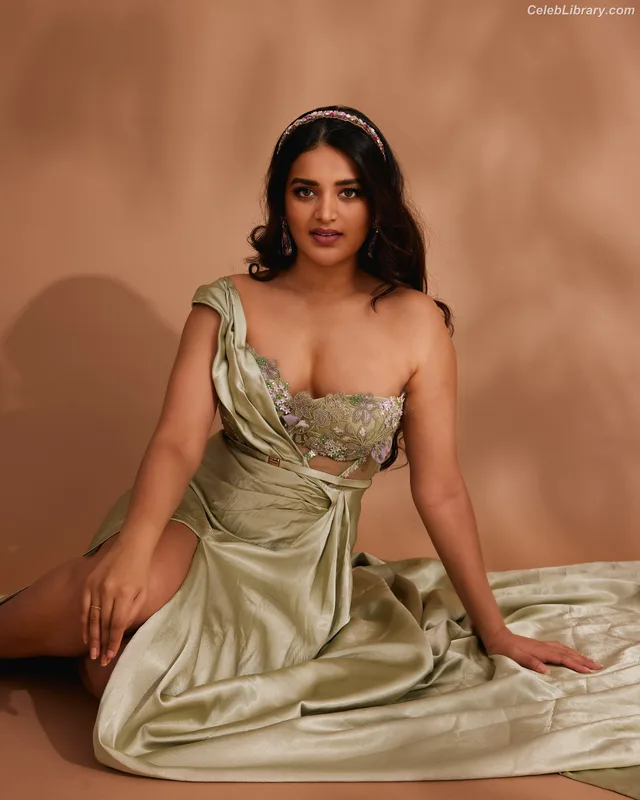 Nidhhi Agerwal photo 19 of 100