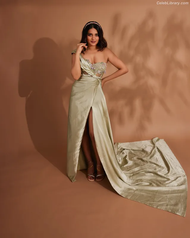 Nidhhi Agerwal photo 20 of 100