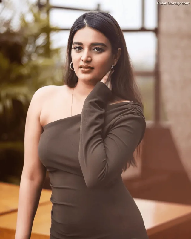 Nidhhi Agerwal photo 23 of 100