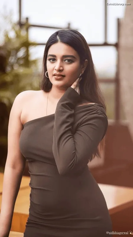 Nidhhi Agerwal photo 5 of 100