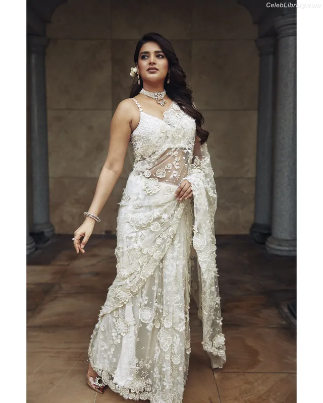 Nidhhi Agerwal photo 20 of 100