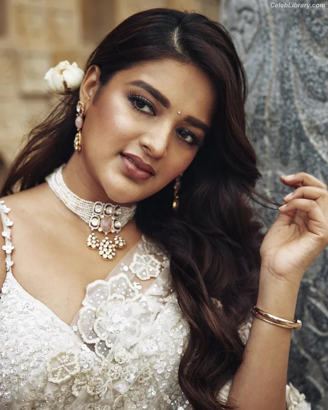 Nidhhi Agerwal photo 23 of 100