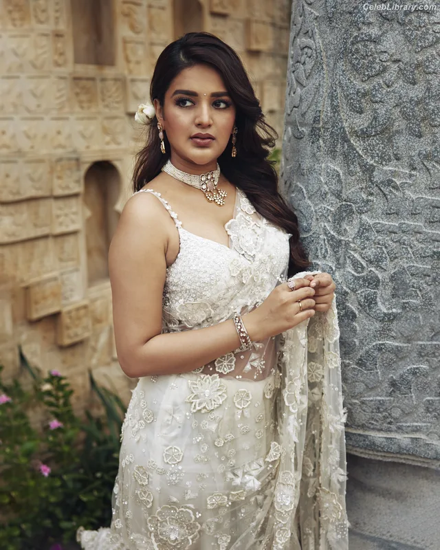 Nidhhi Agerwal photo 24 of 100