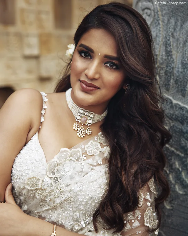 Nidhhi Agerwal photo 3 of 100