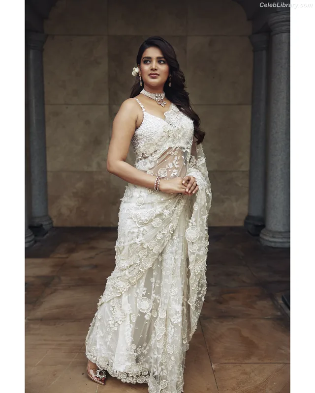 Nidhhi Agerwal photo 4 of 100