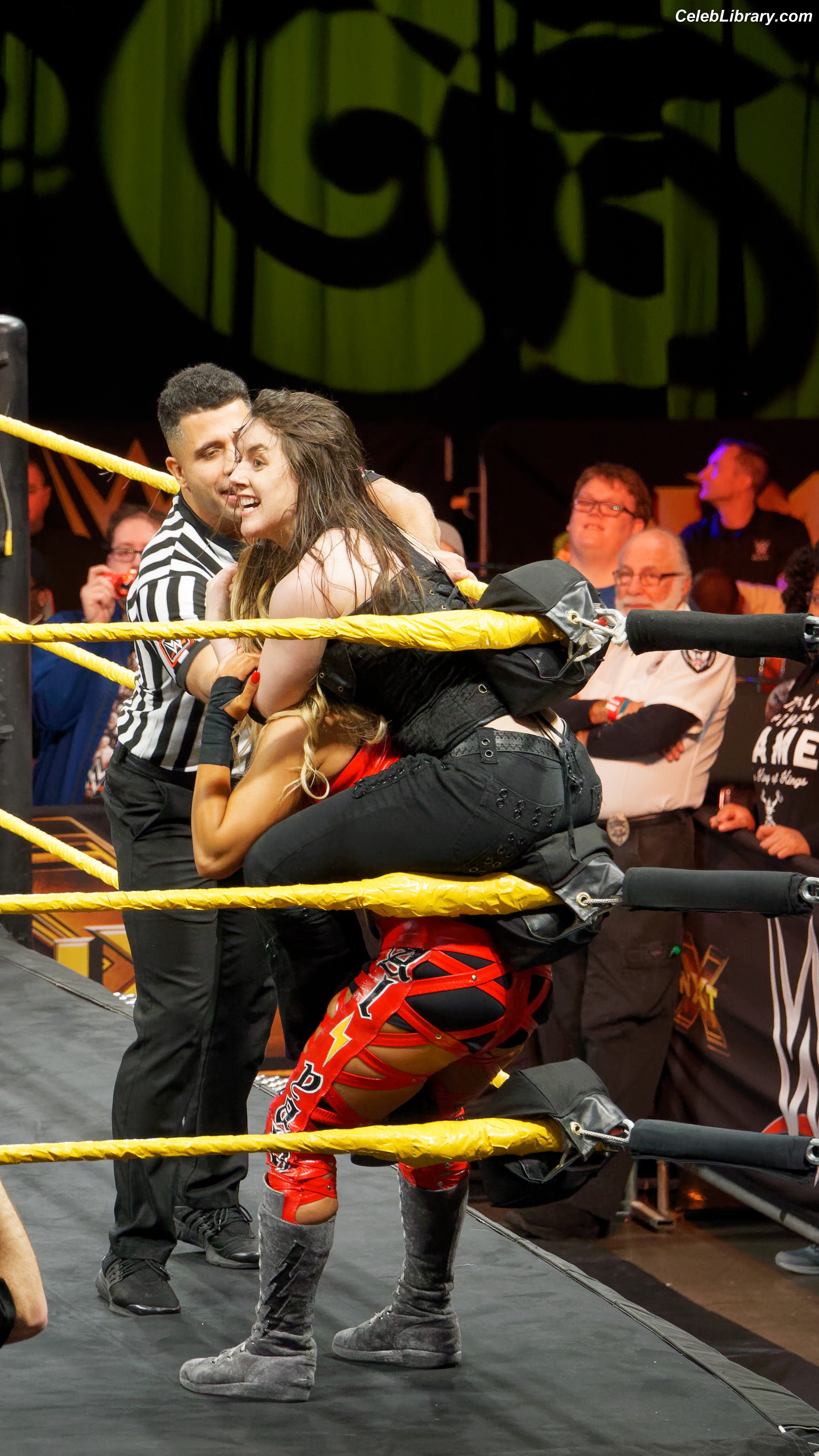 Nikki Cross photo 22 of 446