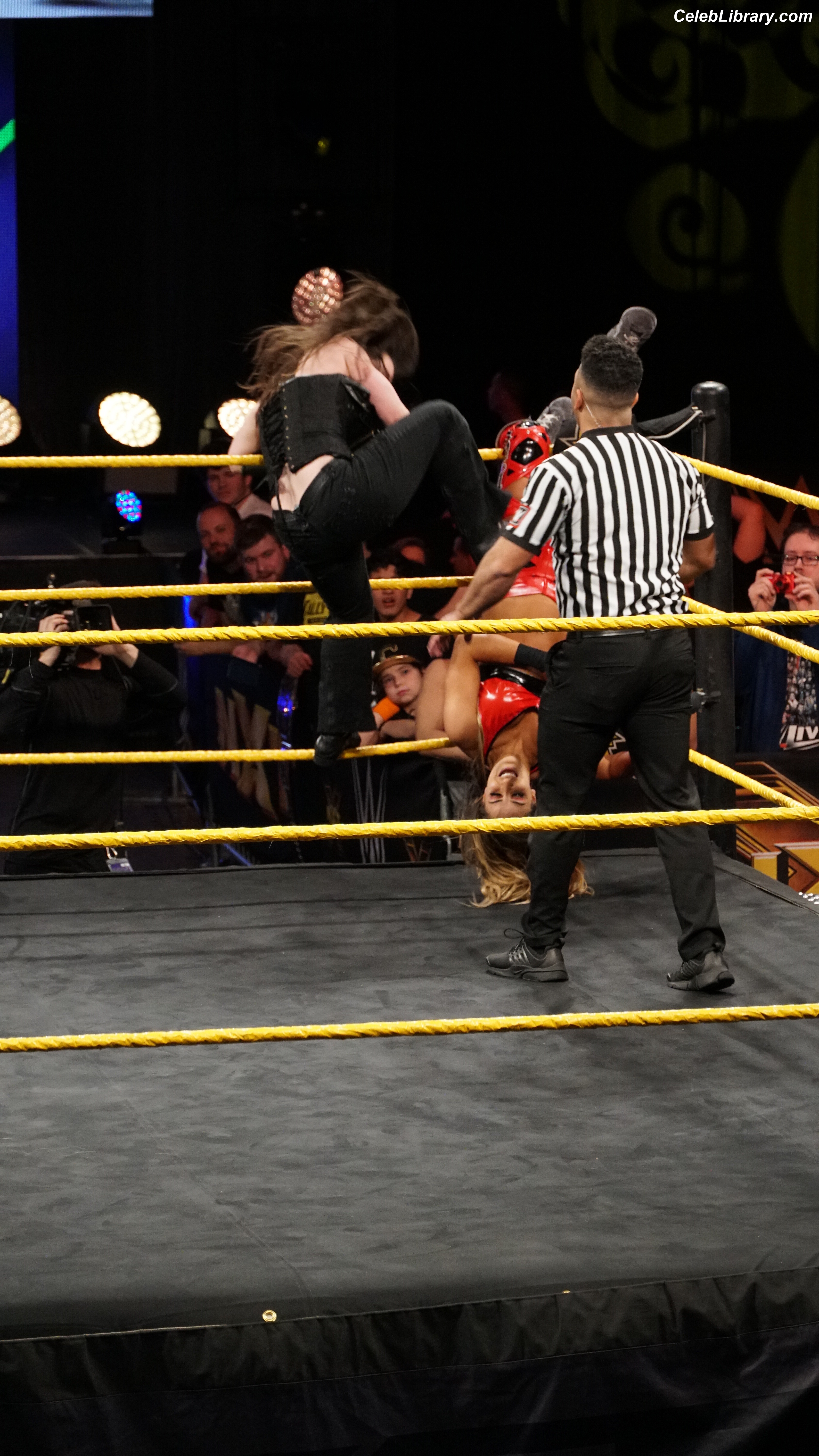 Nikki Cross photo 1 of 446