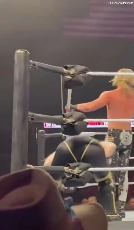 Nikki Cross photo 3 of 446