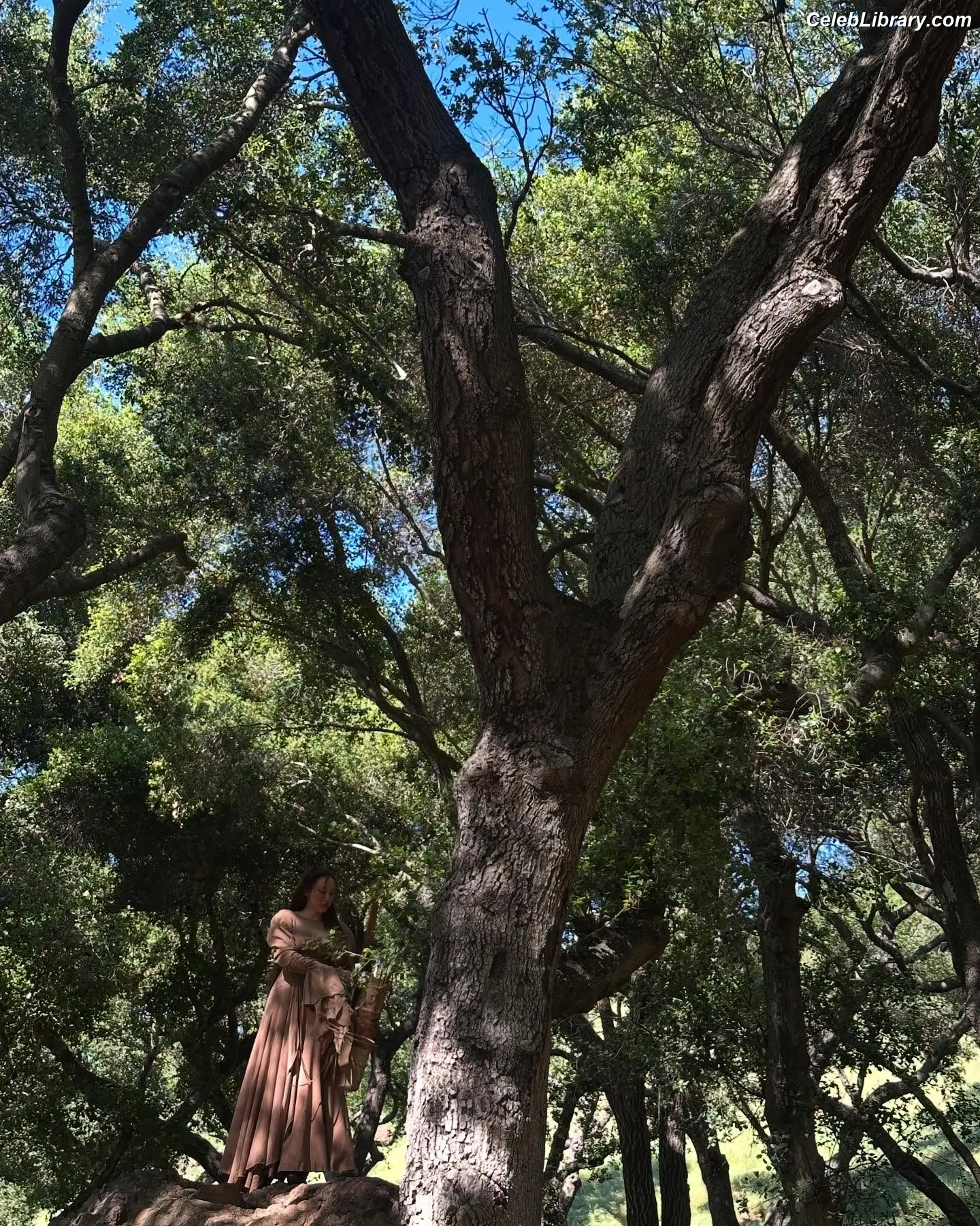 Noah Cyrus photo 7 of 911