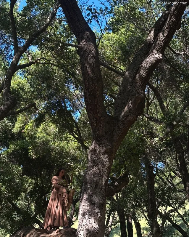 Noah Cyrus photo 3 of 908