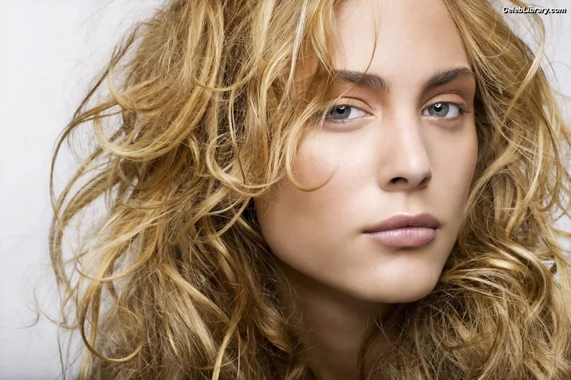 Nora Arnezeder photo 1 of 66