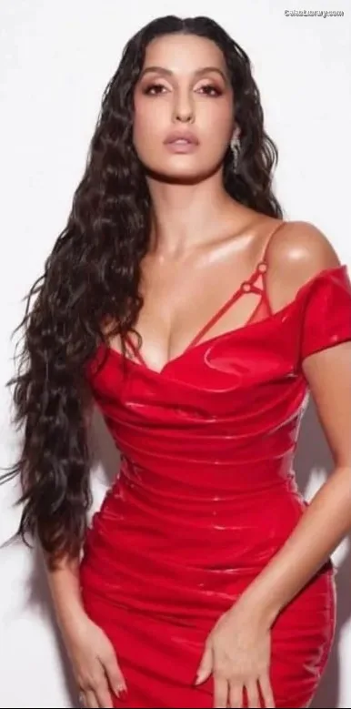 Nora Fatehi photo 4 of 379