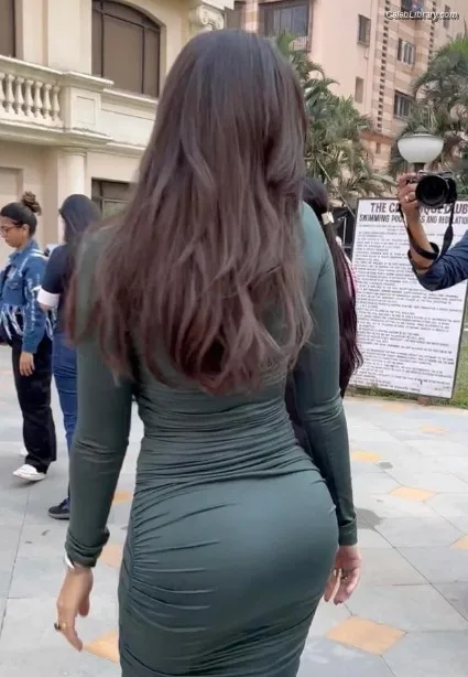 Nora Fatehi photo 6 of 379