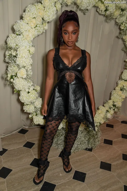 Normani photo 1 of 520