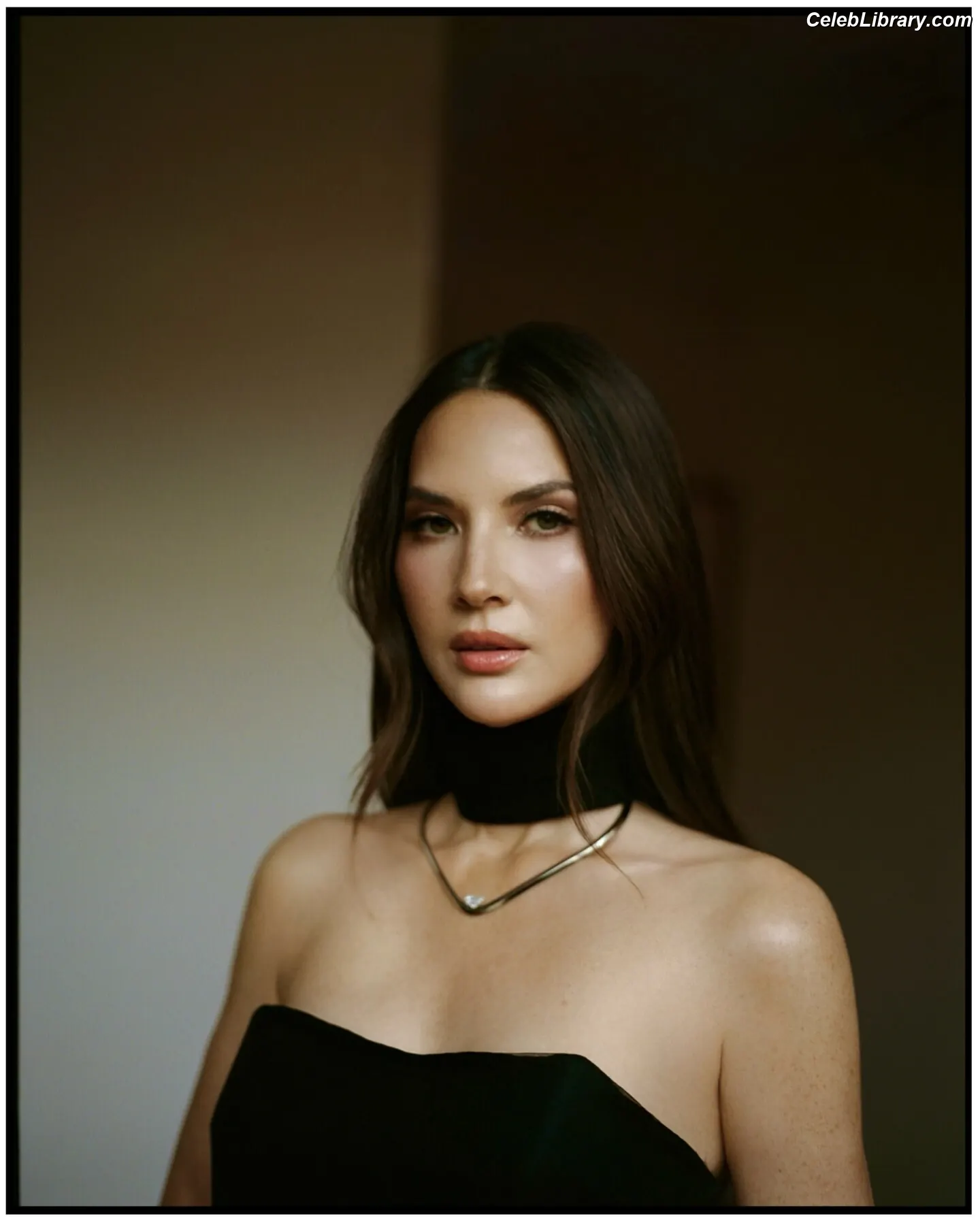 Olivia Munn photo 7 of 1099