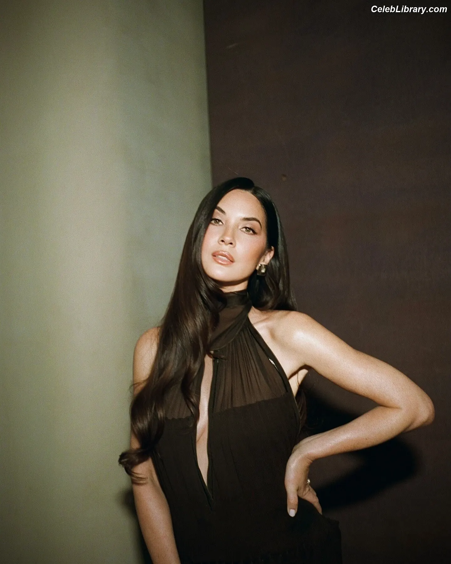 Olivia Munn photo 21 of 1099