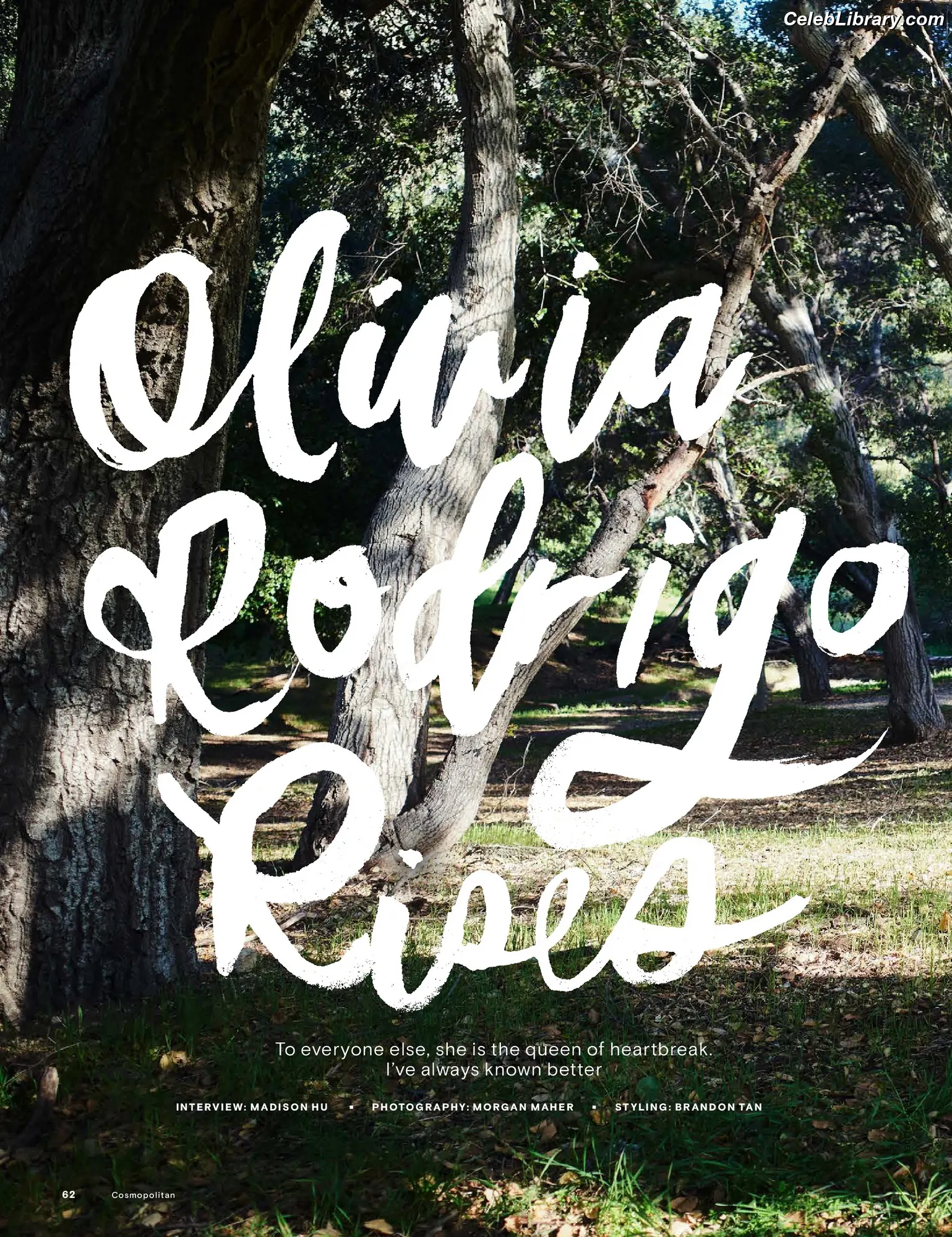 Olivia Rodrigo photo 23 of 3937