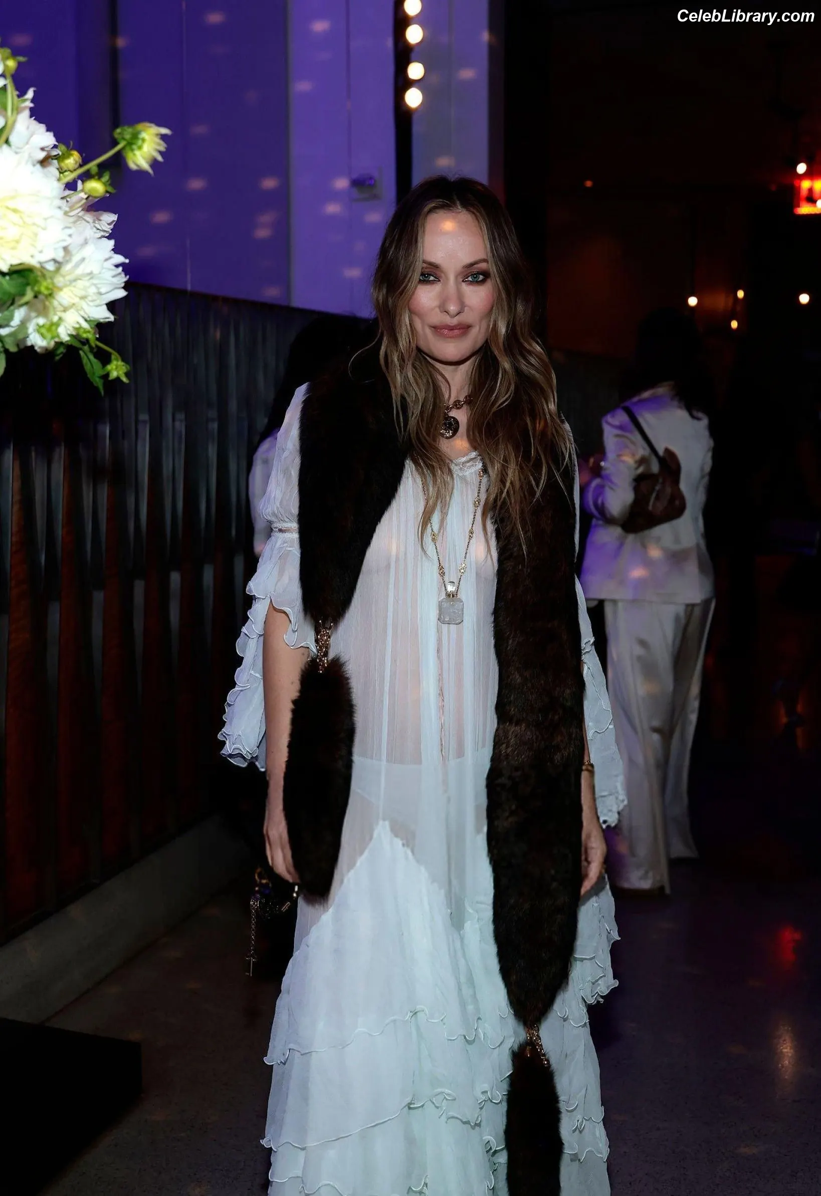 Olivia Wilde photo 3 of 1242