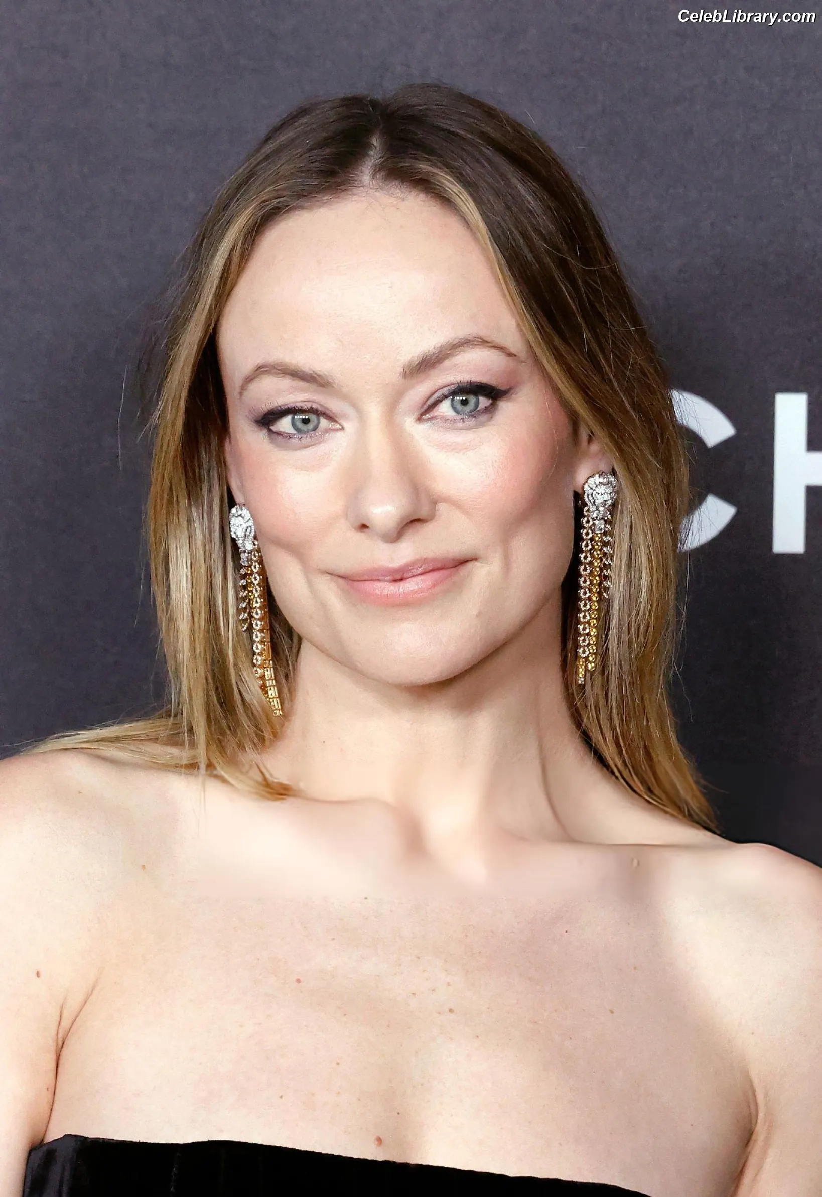 Olivia Wilde photo 4 of 1242