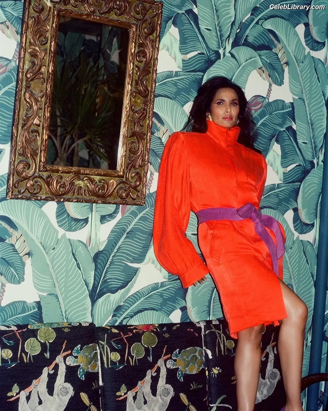 Padma Lakshmi photo 1 of 382