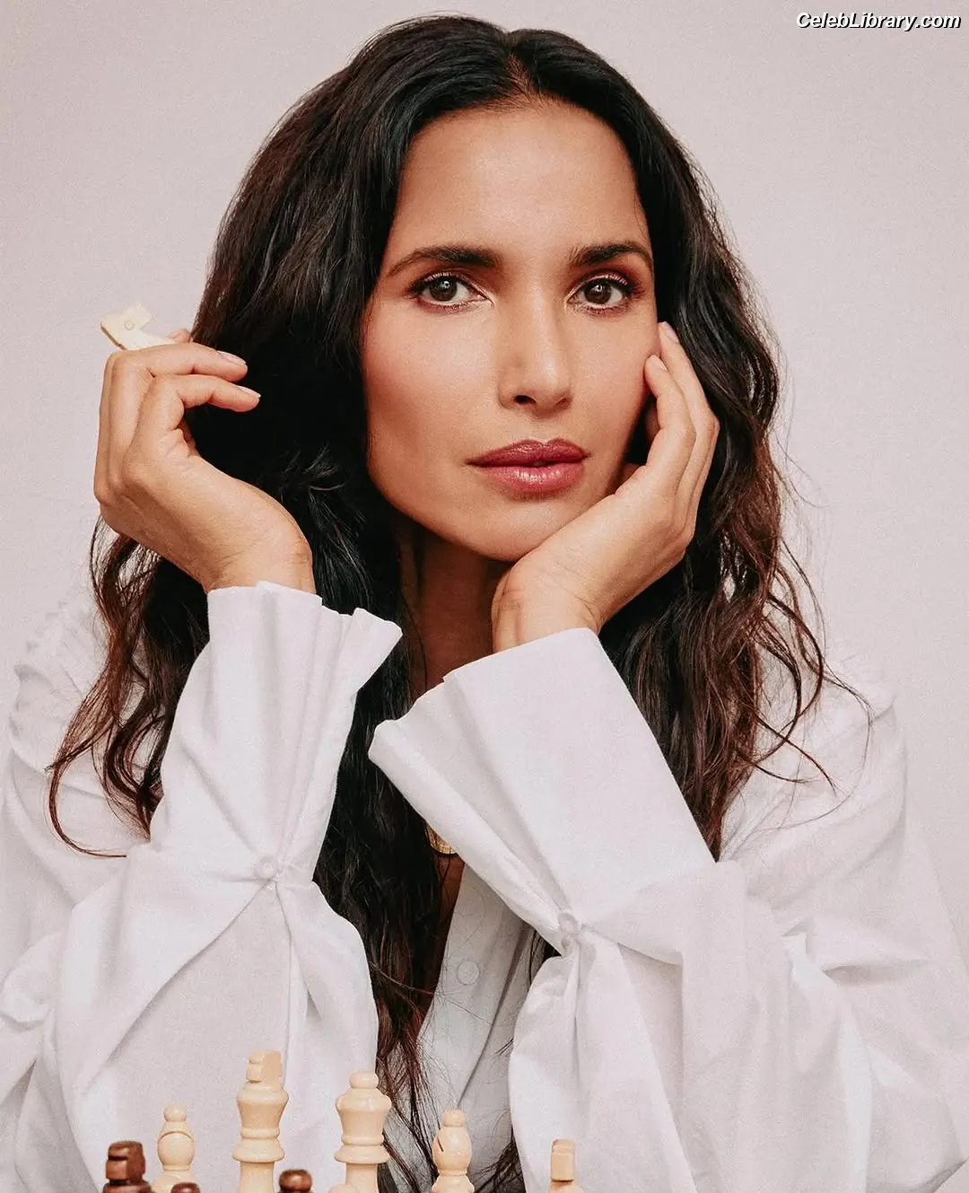 Padma Lakshmi photo 11 of 382