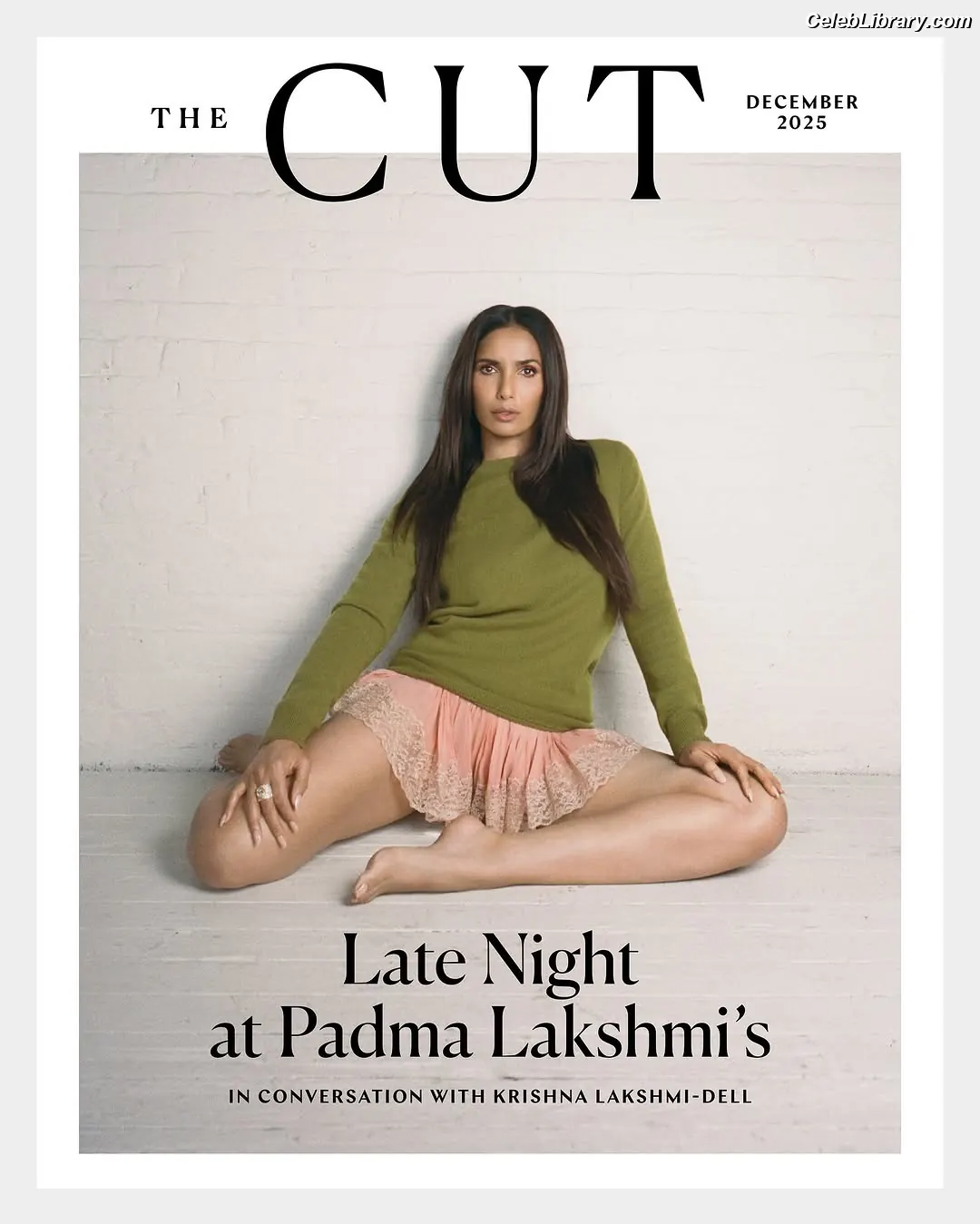 Padma Lakshmi photo 22 of 382