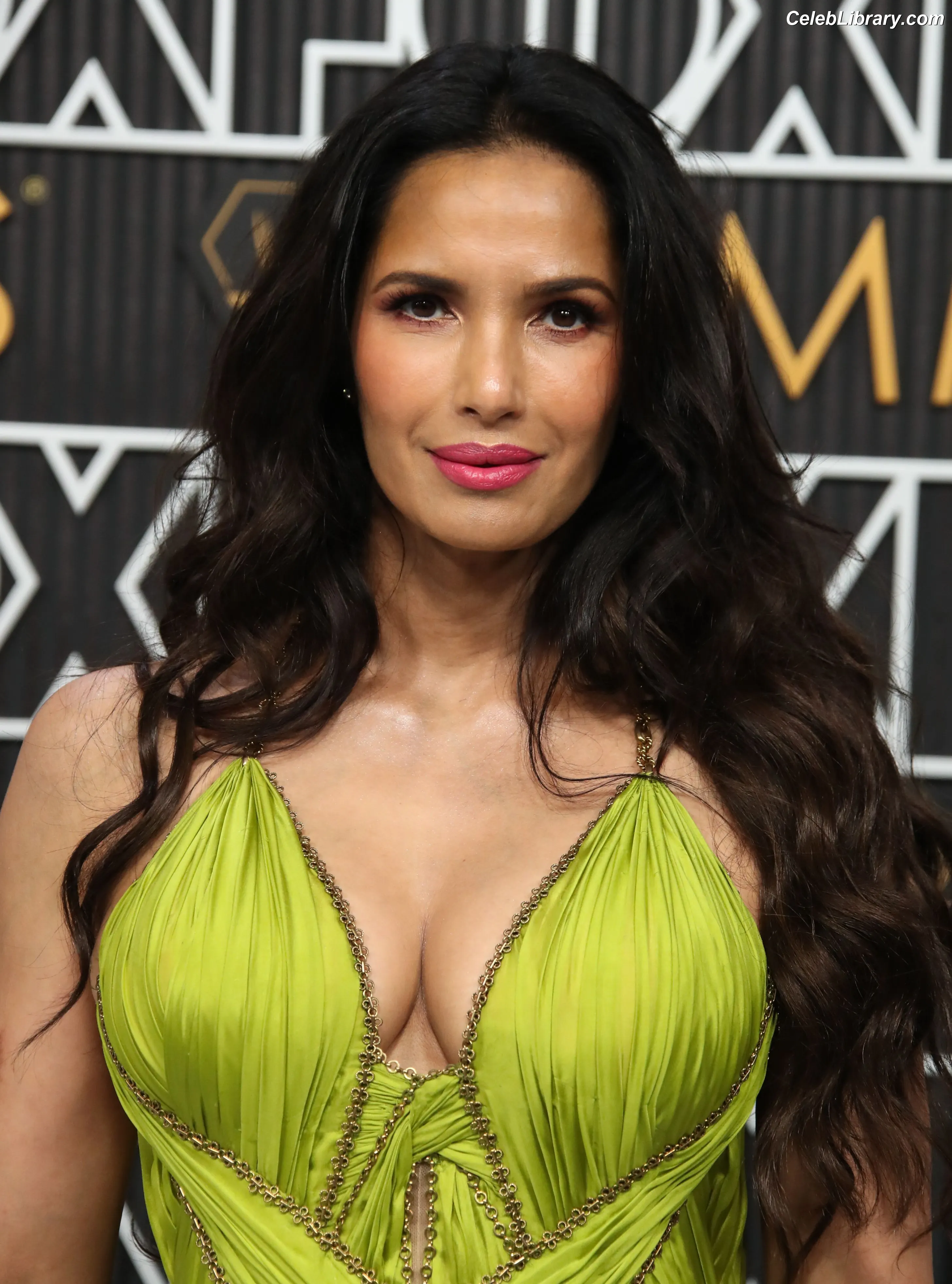 Padma Lakshmi photo 3 of 382