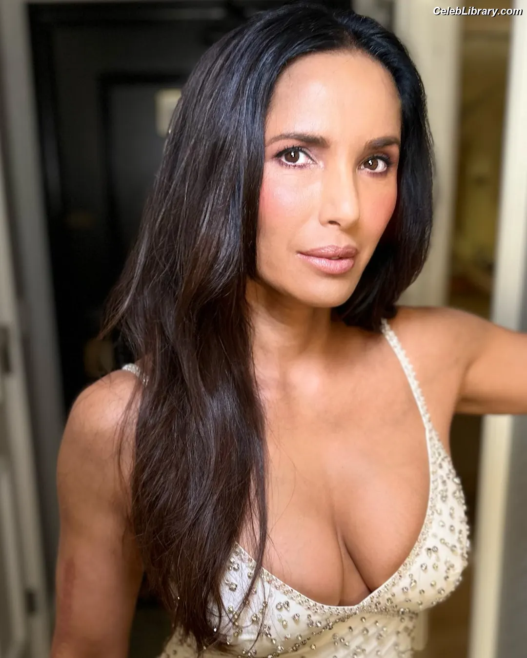 Padma Lakshmi photo 10 of 382