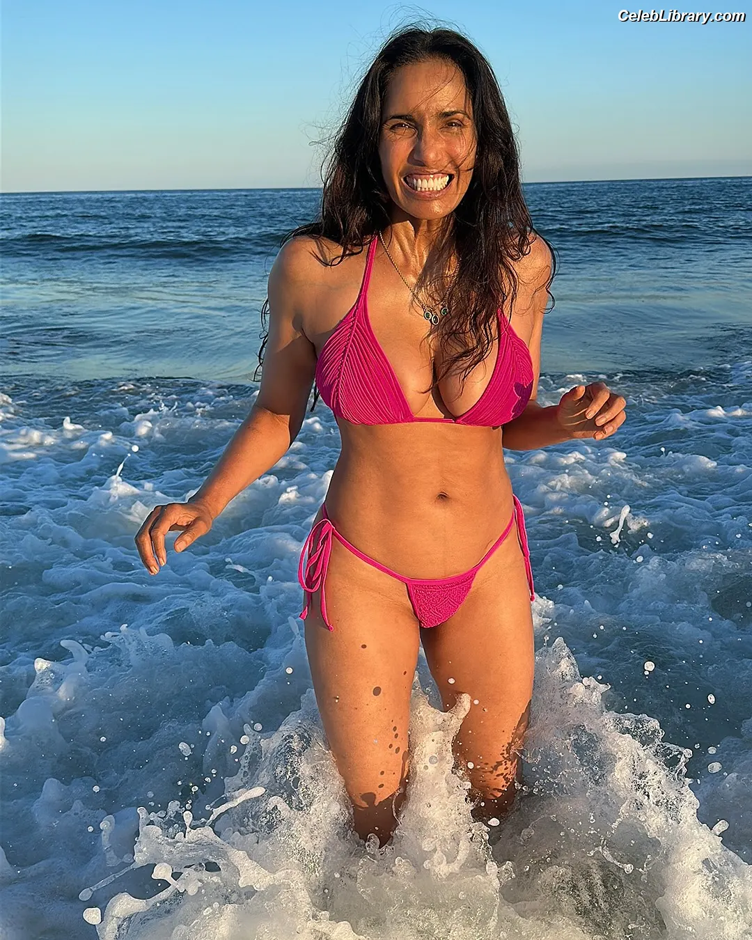 Padma Lakshmi photo 11 of 382