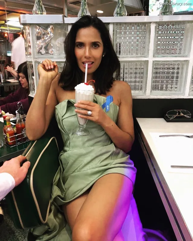 Padma Lakshmi photo 11 of 383