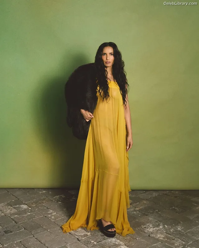 Padma Lakshmi photo 21 of 383