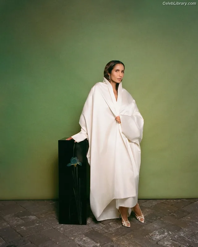 Padma Lakshmi photo 2 of 383