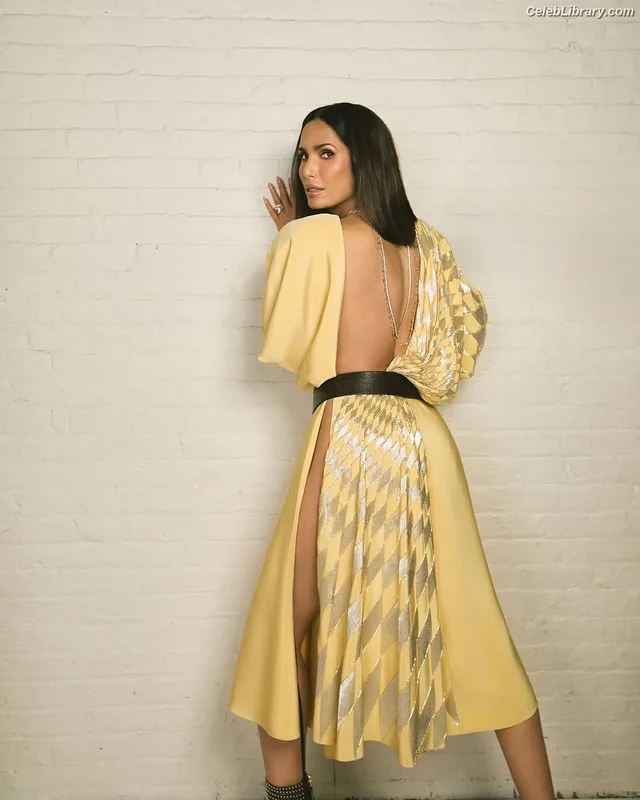 Padma Lakshmi photo 7 of 383