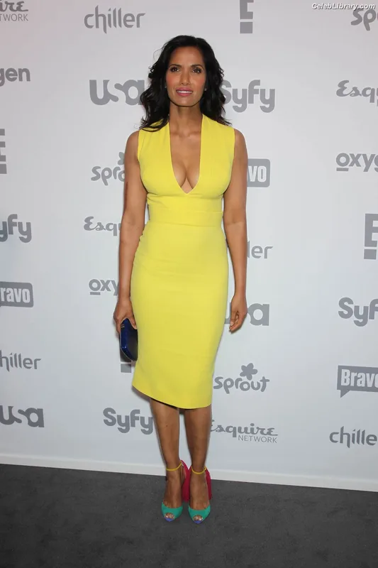 Padma Lakshmi photo 9 of 383