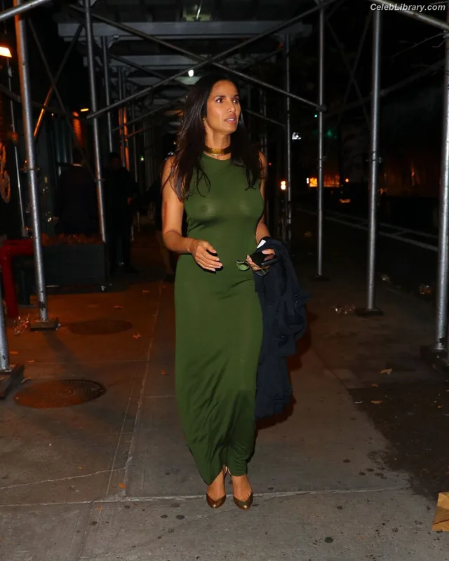 Padma Lakshmi photo 7 of 383