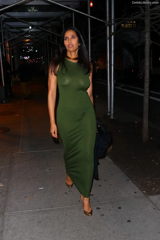 Padma Lakshmi photo 8 of 383