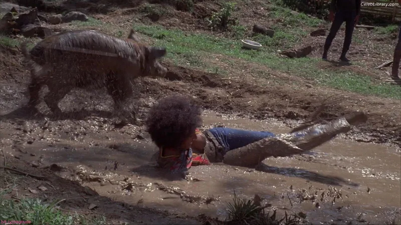 Pam Grier photo 10 of 177