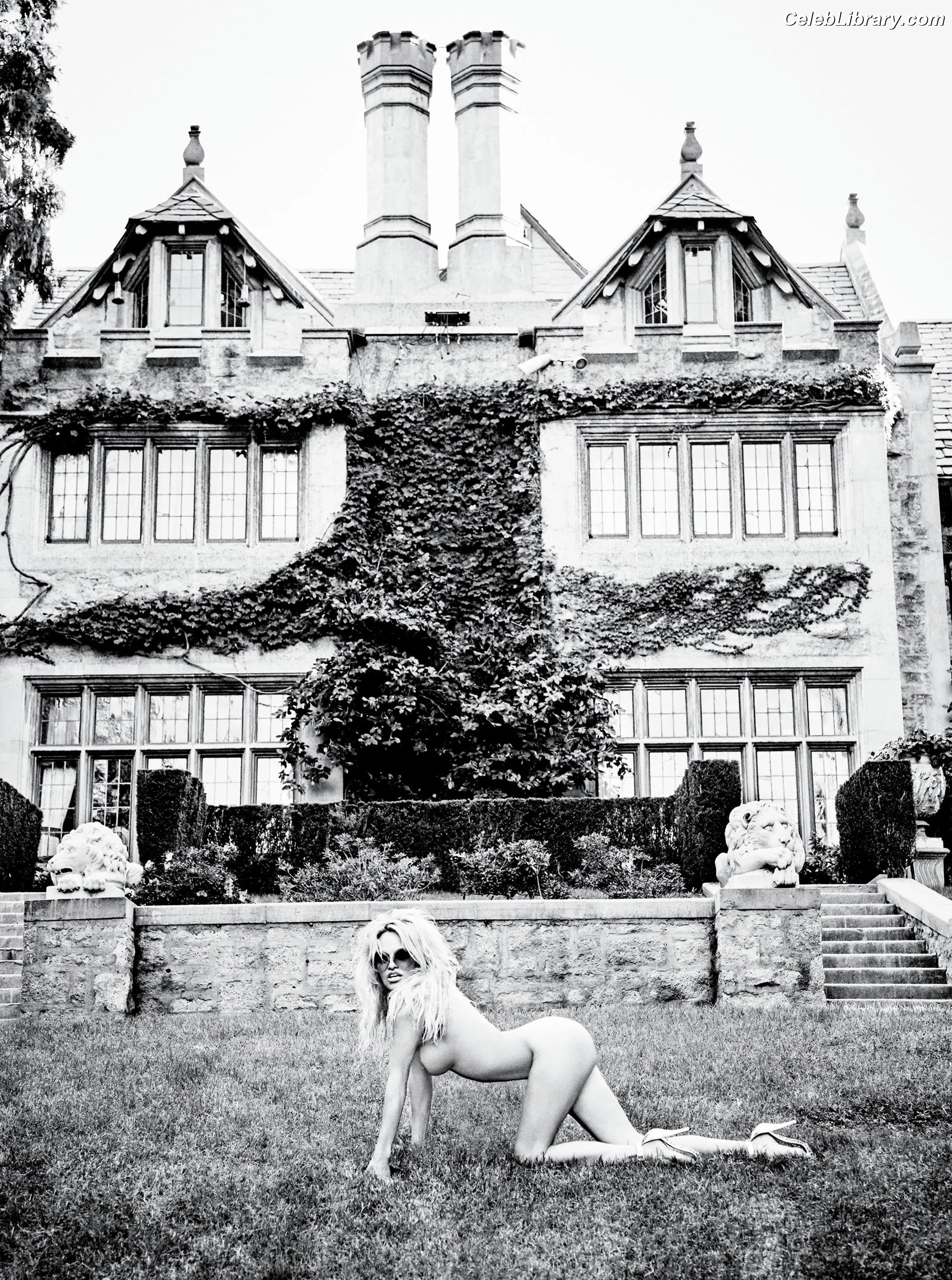 Pamela Anderson photo 8 of 1100