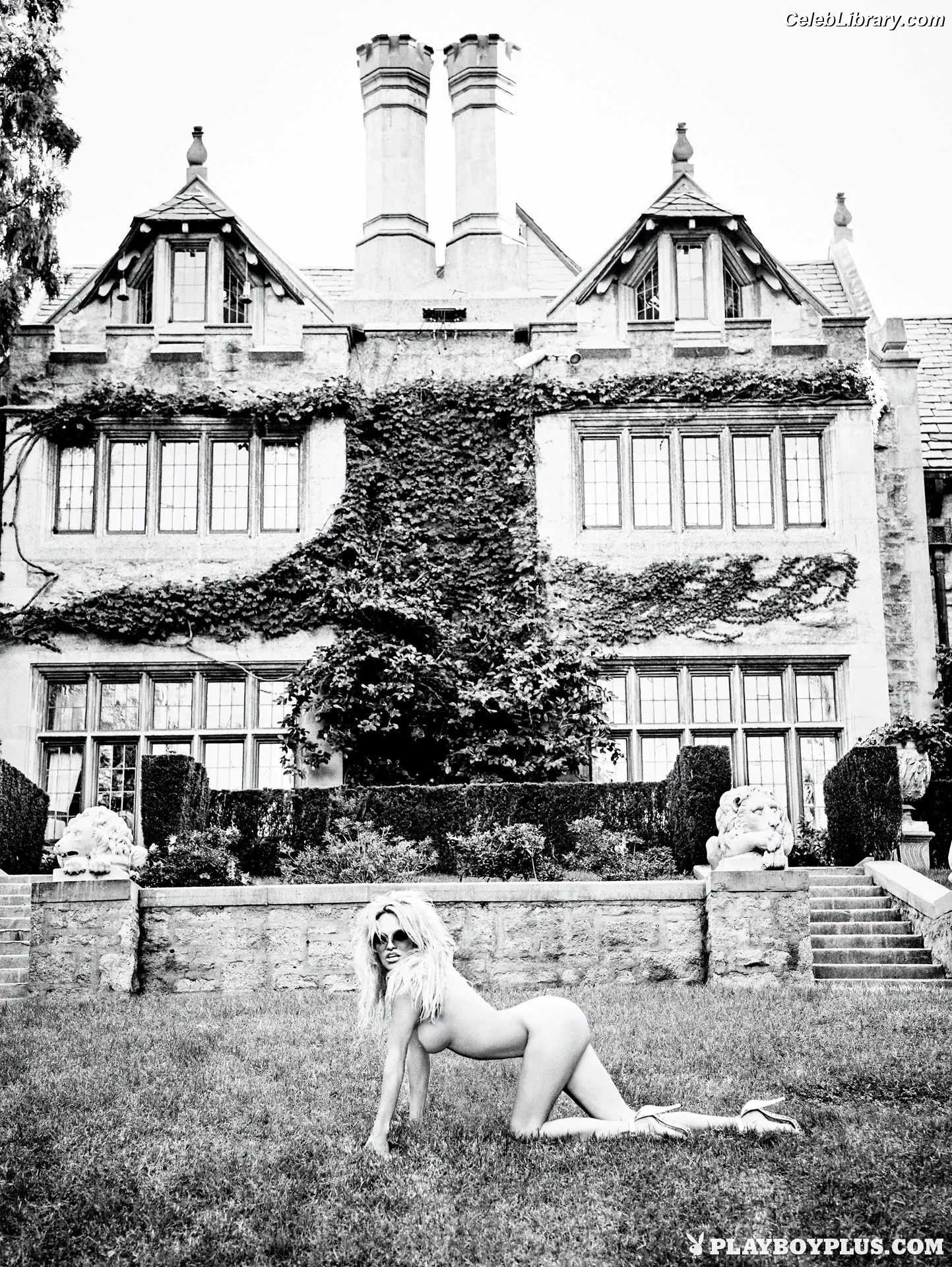 Pamela Anderson photo 5 of 1100