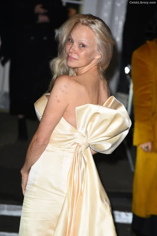 Pamela Anderson photo 16 of 1098